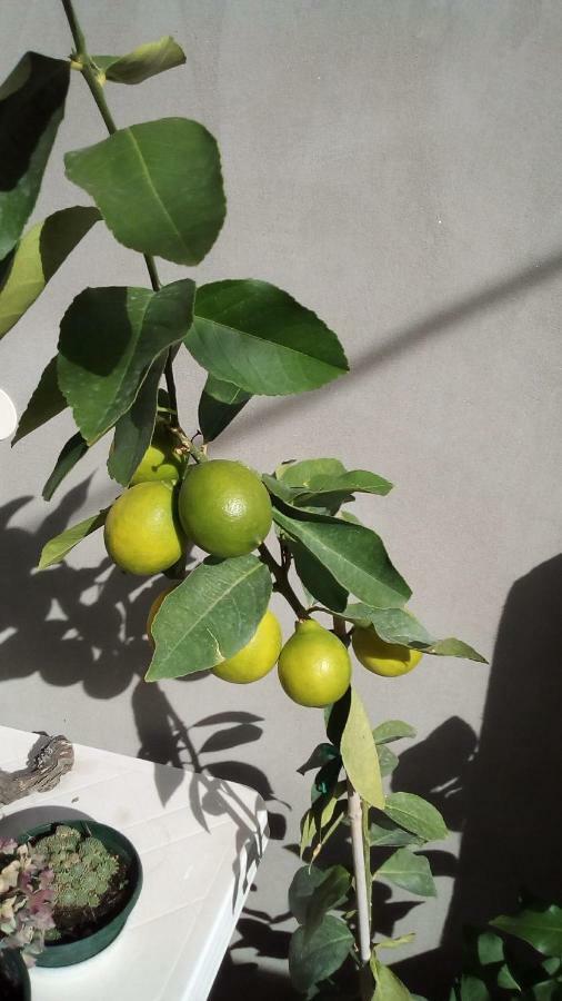Apartment Sibenik Mandalina 외부 사진